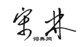 駱恆光宋林草書個性簽名怎么寫