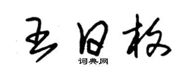 朱錫榮王日枚草書個性簽名怎么寫