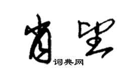 朱錫榮肖望草書個性簽名怎么寫