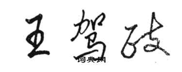 駱恆光王駕政行書個性簽名怎么寫