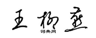 梁錦英王柳燕草書個性簽名怎么寫