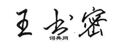 駱恆光王書密行書個性簽名怎么寫