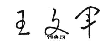 駱恆光王文軍草書個性簽名怎么寫