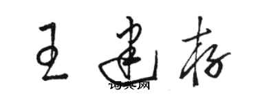 駱恆光王建存草書個性簽名怎么寫