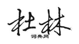 駱恆光杜林行書個性簽名怎么寫
