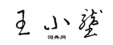 駱恆光王小壟草書個性簽名怎么寫