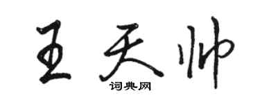 駱恆光王天帥行書個性簽名怎么寫