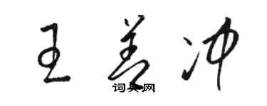 駱恆光王善沖草書個性簽名怎么寫