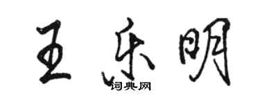 駱恆光王樂明行書個性簽名怎么寫