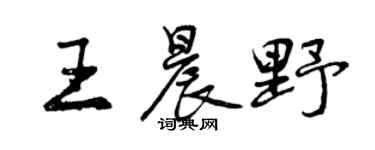 曾慶福王晨野行書個性簽名怎么寫