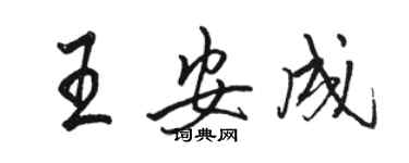 駱恆光王安成行書個性簽名怎么寫