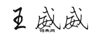 駱恆光王威威行書個性簽名怎么寫