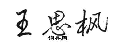 駱恆光王思楓行書個性簽名怎么寫