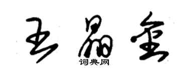 朱錫榮王晶金草書個性簽名怎么寫