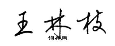 梁錦英王林枝草書個性簽名怎么寫