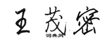 駱恆光王茂密行書個性簽名怎么寫