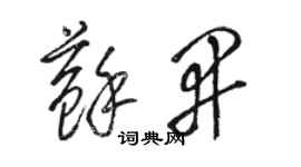 駱恆光蘇開草書個性簽名怎么寫