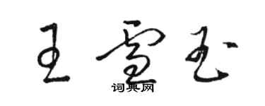 駱恆光王雪玉草書個性簽名怎么寫