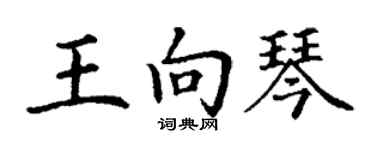丁謙王向琴楷書個性簽名怎么寫