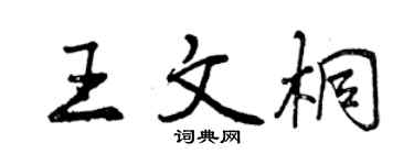 曾慶福王文桐行書個性簽名怎么寫
