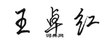 駱恆光王卓紅行書個性簽名怎么寫