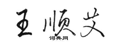 駱恆光王順艾行書個性簽名怎么寫