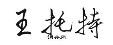 駱恆光王托特行書個性簽名怎么寫