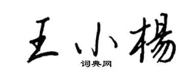 王正良王小楊行書個性簽名怎么寫