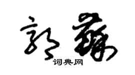 朱錫榮郭蘇草書個性簽名怎么寫