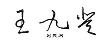 駱恆光王九登草書個性簽名怎么寫