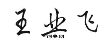 駱恆光王業飛行書個性簽名怎么寫