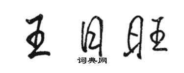 駱恆光王日旺行書個性簽名怎么寫