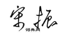 駱恆光宋振草書個性簽名怎么寫