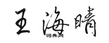 駱恆光王海晴行書個性簽名怎么寫