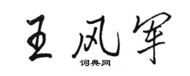 駱恆光王風軍行書個性簽名怎么寫