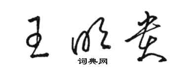 駱恆光王明貴草書個性簽名怎么寫