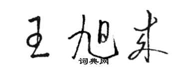 駱恆光王旭來草書個性簽名怎么寫