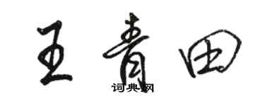 駱恆光王青田行書個性簽名怎么寫