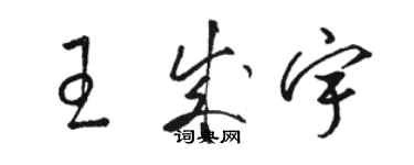 駱恆光王成宇草書個性簽名怎么寫