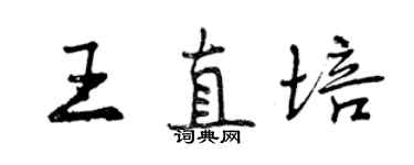 曾慶福王直培行書個性簽名怎么寫