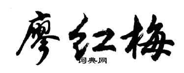 胡問遂廖紅梅行書個性簽名怎么寫