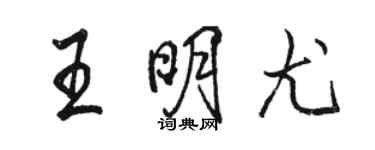 駱恆光王明尤行書個性簽名怎么寫
