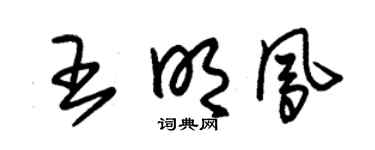 朱錫榮王明鳳草書個性簽名怎么寫