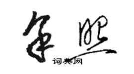 駱恆光余照草書個性簽名怎么寫