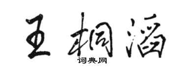 駱恆光王桐滔行書個性簽名怎么寫