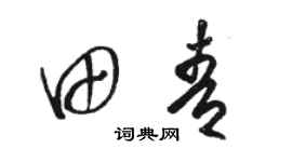 駱恆光田青草書個性簽名怎么寫