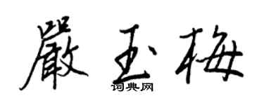 王正良嚴玉梅行書個性簽名怎么寫