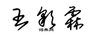 朱錫榮王彩霖草書個性簽名怎么寫