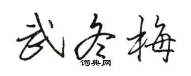 駱恆光武冬梅行書個性簽名怎么寫