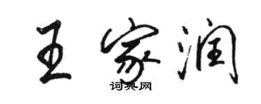 駱恆光王家潤行書個性簽名怎么寫